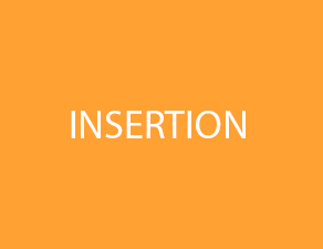 Insertion